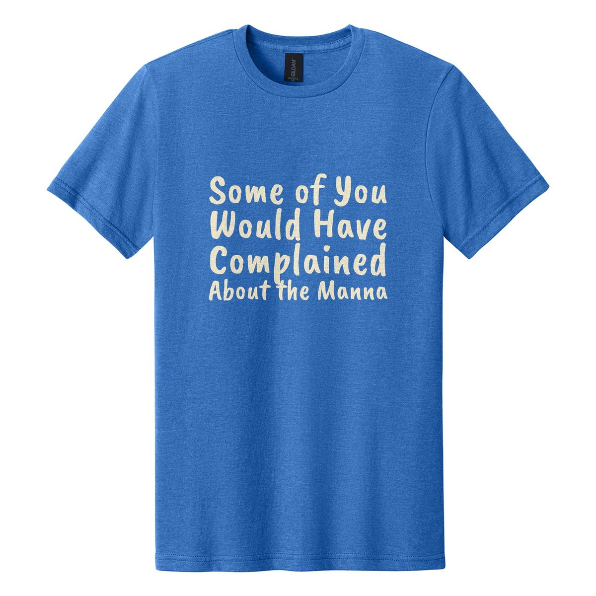 Some of You Would Have Complained About the Manna tee in Royal Mist, Caveat Brush font, Cream ink