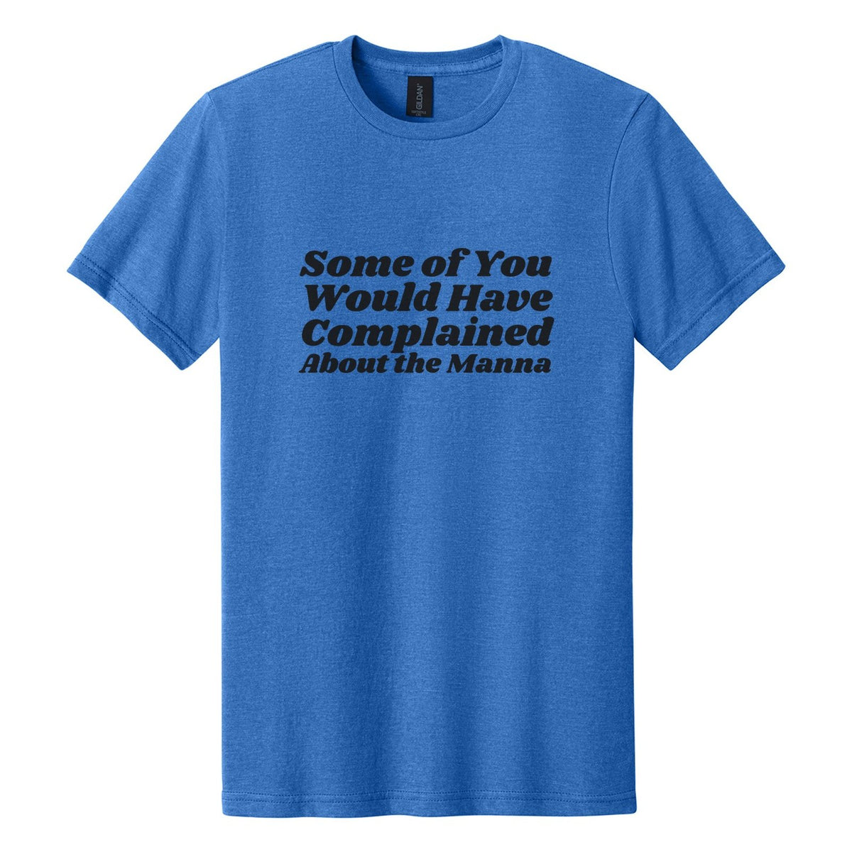 Some of You Would Have Complained About the Manna tee in Royal Mist, Shrikhand font, Black ink