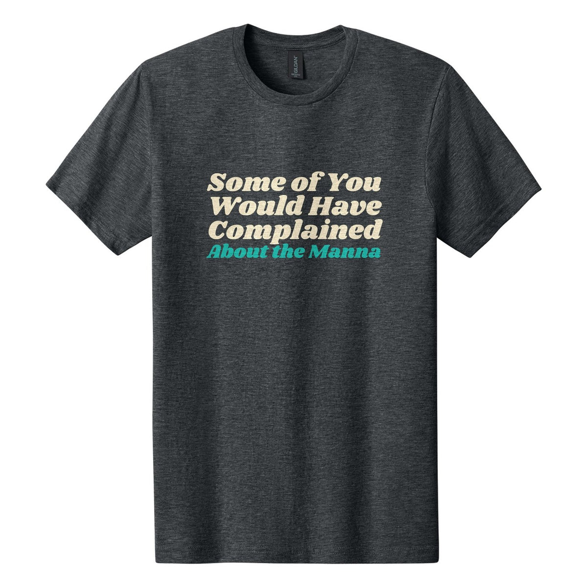 Some of You Would Have Complained About the Manna tee in Dark Heather, Shrikhand font, Cream + Teal ink