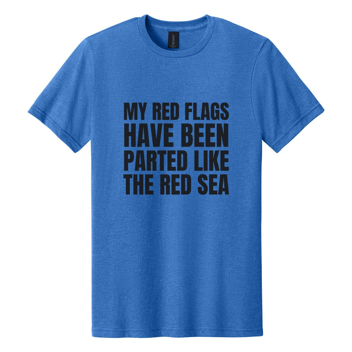 My Red Flags Have Been Parted Like the Red Sea tee in Royal Mist, Anton font, Black ink